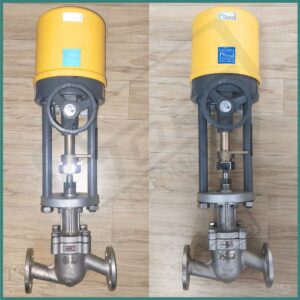 15mm Globe type control Valve